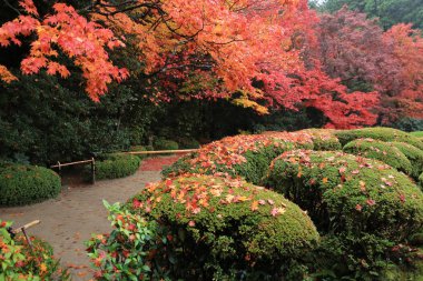 Shisen-Do, Kyoto, Japonya
