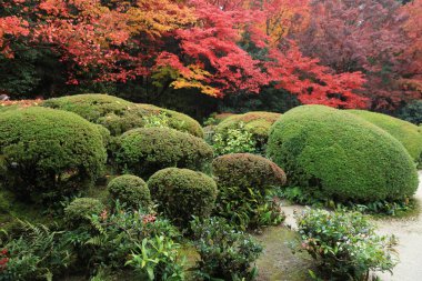 Shisen-Do, Kyoto, Japonya
