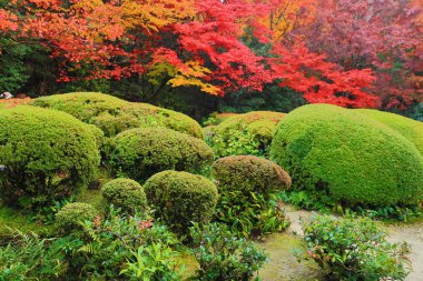 Shisen-Do, Kyoto, Japonya