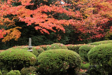 Shisen-Do, Kyoto, Japonya