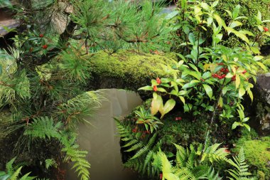 yeşil bitkiler ile küçük doğal şelale peyzaj, ağaç