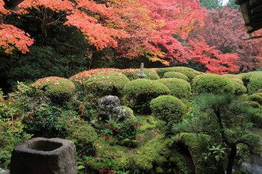 Shisen-do Bahçe sonbahar mevsimi