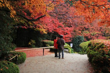 Shisen-do Bahçe sonbahar mevsimi