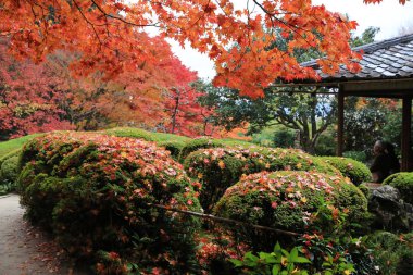 Shisen-do tapınağın Güz sezon
