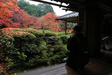 Shisen-do tapınağın Güz sezon