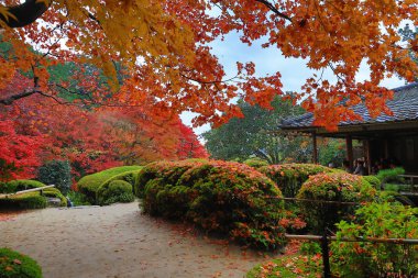 Shisen-do Bahçe sonbahar mevsimi