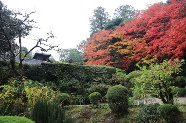 Shisen-do Bahçe