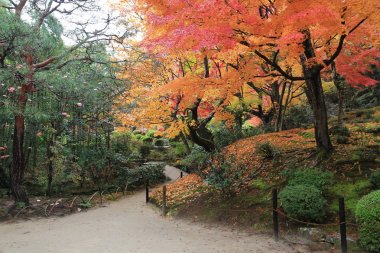 Shisen-do Bahçe sonbahar mevsimi