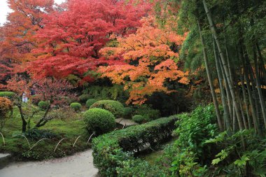 Shisen-do Bahçe sonbahar mevsimi