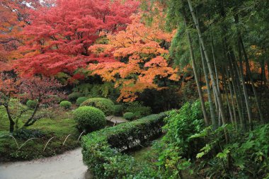 Shisen-do Bahçe sonbahar mevsimi