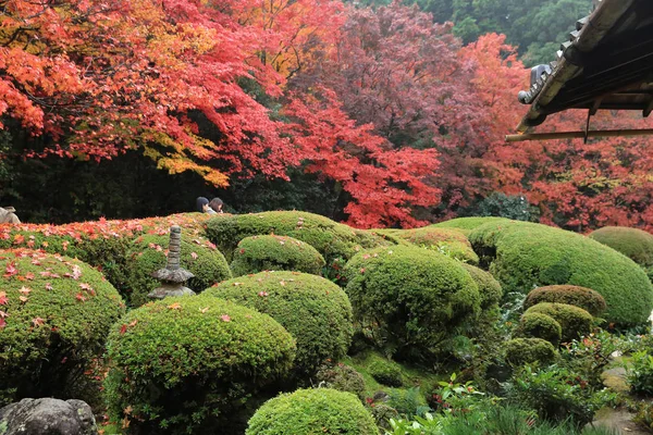 Shisen-Do, Kyoto, Japonya