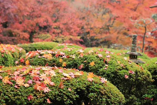 四川は、京都、日本 — ストック写真