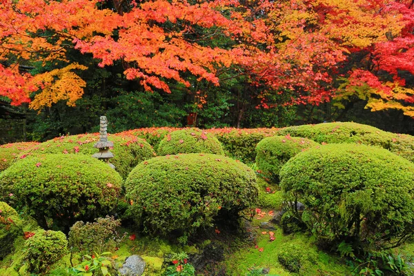 Shisen-Do, Kyoto, Japan — Stockfoto