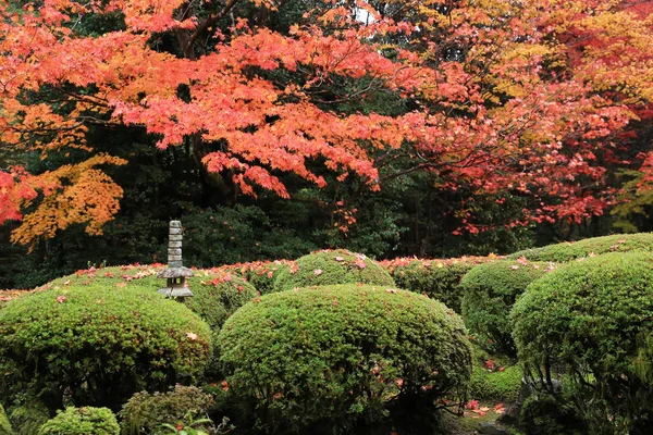 Shisen-Do, Kyoto, Japonya — Stok fotoğraf