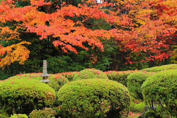 Shisen-Do, Kyoto, Japonya — Stok fotoğraf