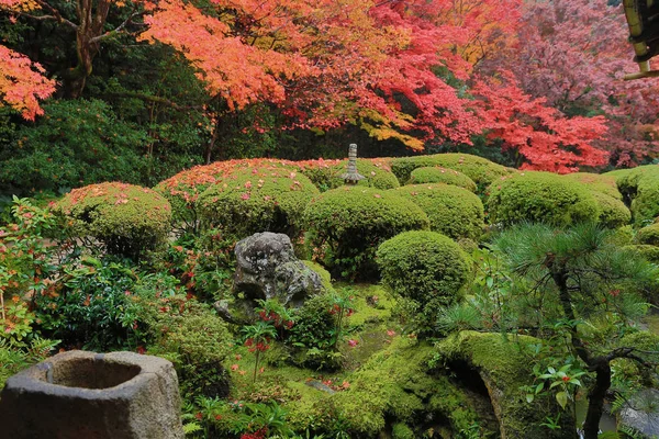 Осенний сезон сада Шизен-до — стоковое фото