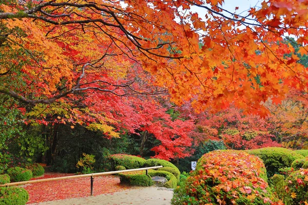 Saison d'automne du jardin Shisen-do — Photo