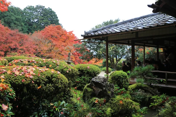 四川堂の秋のシーズン — ストック写真