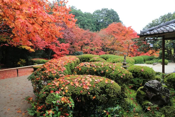 Sezóna podzim Shisen-do zahrady — Stock fotografie