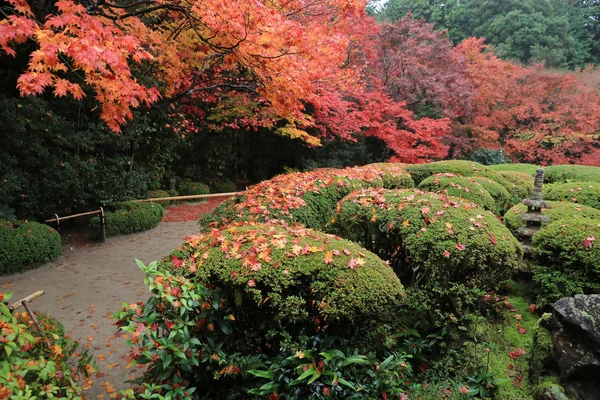 Shisen-Do, Kjóto, Japonsko — Stock fotografie