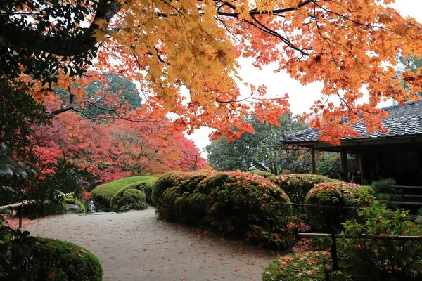 四川の庭の秋のシーズン — ストック写真