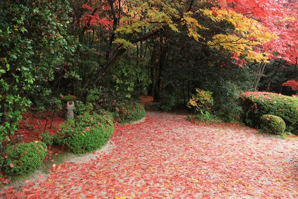 Herbstzeit des Shisen-Do-Gartens — Stockfoto