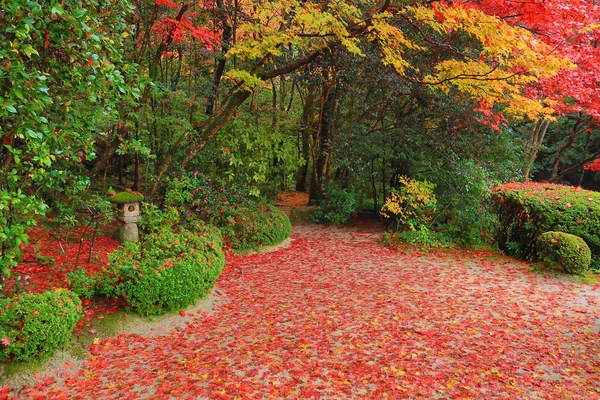 Época de outono do jardim Shisen-do — Fotografia de Stock