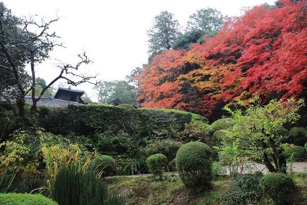四川の庭 — ストック写真