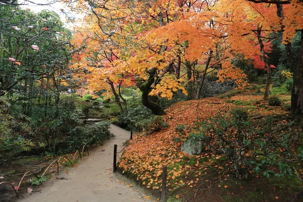 Höstsäsongen av Shisen-do trädgård — Stockfoto