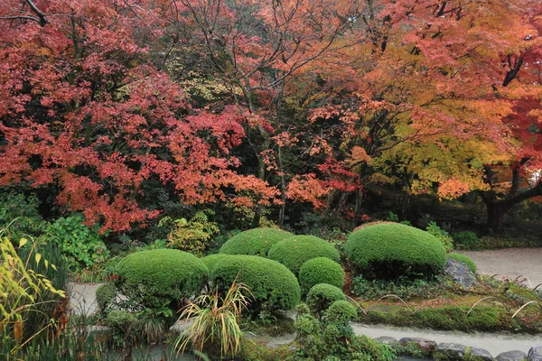 Shisen-do zahrady — Stock fotografie