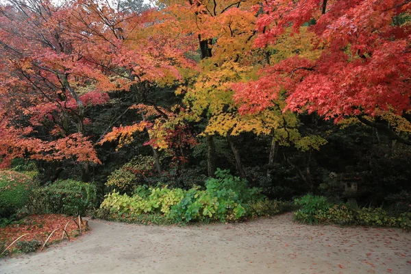 四川の庭 — ストック写真