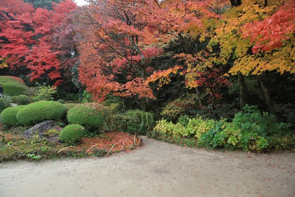 四川の庭 — ストック写真