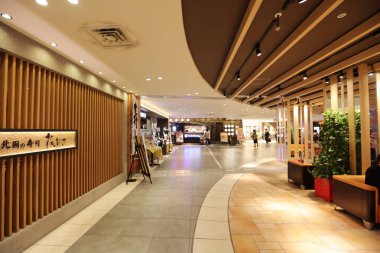 Yeni Chitose Havaalanı, Hokkaido iç görünümü