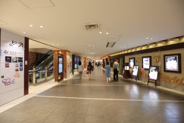 Yeni Chitose Havaalanı, Hokkaido iç görünümü