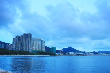  Önemsiz yuva, Tseung Kwan O yuva 2017