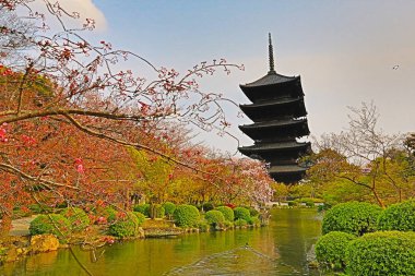 Toji Tapınağı Bahar, kyoto, Japonya