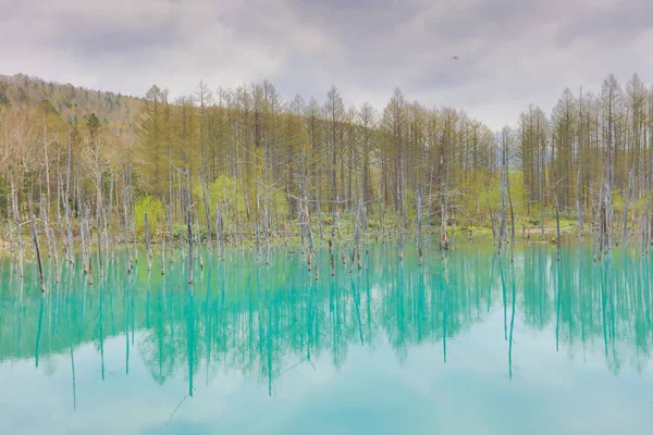 Mavi Göl Aoiike, Biei Hokkaido Japonya