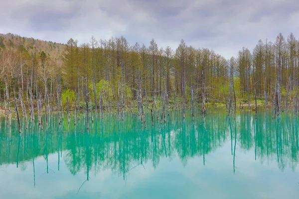 Mavi Göl Aoiike, Biei Hokkaido Japonya