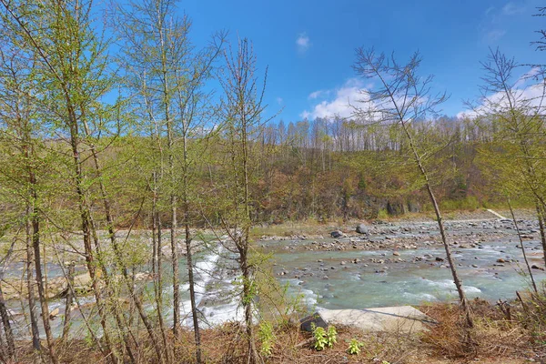 Nehir, mavi su birikintisi Aoiike, Biei Hokkaido Japonya — Stok fotoğraf