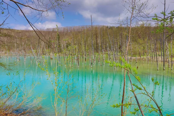 Mavi Göl Aoiike, Biei Hokkaido Japonya