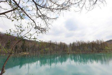  Milli Parkı yaz aylarında alınan mavi su birikintisi