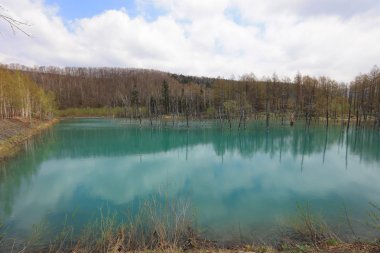  Milli Parkı yaz aylarında alınan mavi su birikintisi