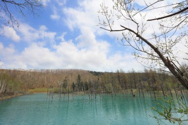 Biei, Shirogane'deki Mavi Gölet. Hokkaido alınan, 