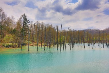 Biei, Japonya yaz aylarında alınan mavi su birikintisi