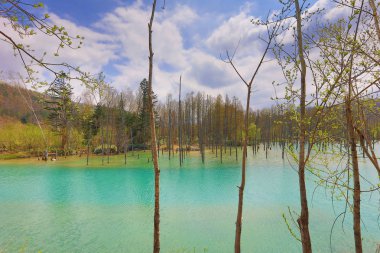 Biei, Japonya yaz aylarında alınan mavi su birikintisi