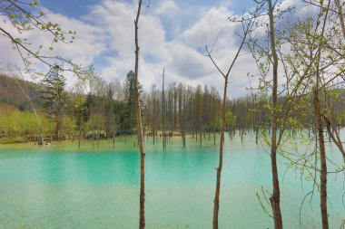 Biei, Japonya yaz aylarında alınan mavi su birikintisi