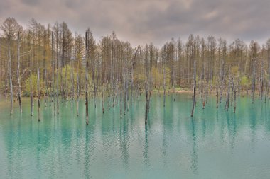 Biei, Japonya yaz aylarında alınan mavi su birikintisi