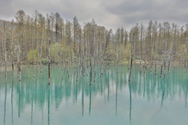 Biei, Japonya yaz aylarında alınan mavi su birikintisi