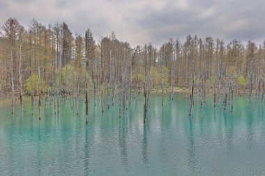 Biei, Japonya yaz aylarında alınan mavi su birikintisi