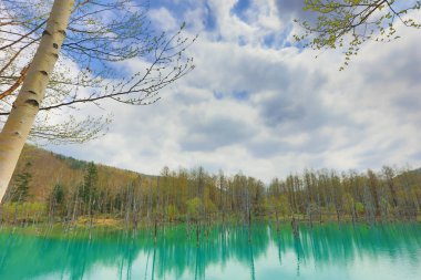 Biei, Japonya yaz aylarında alınan mavi su birikintisi